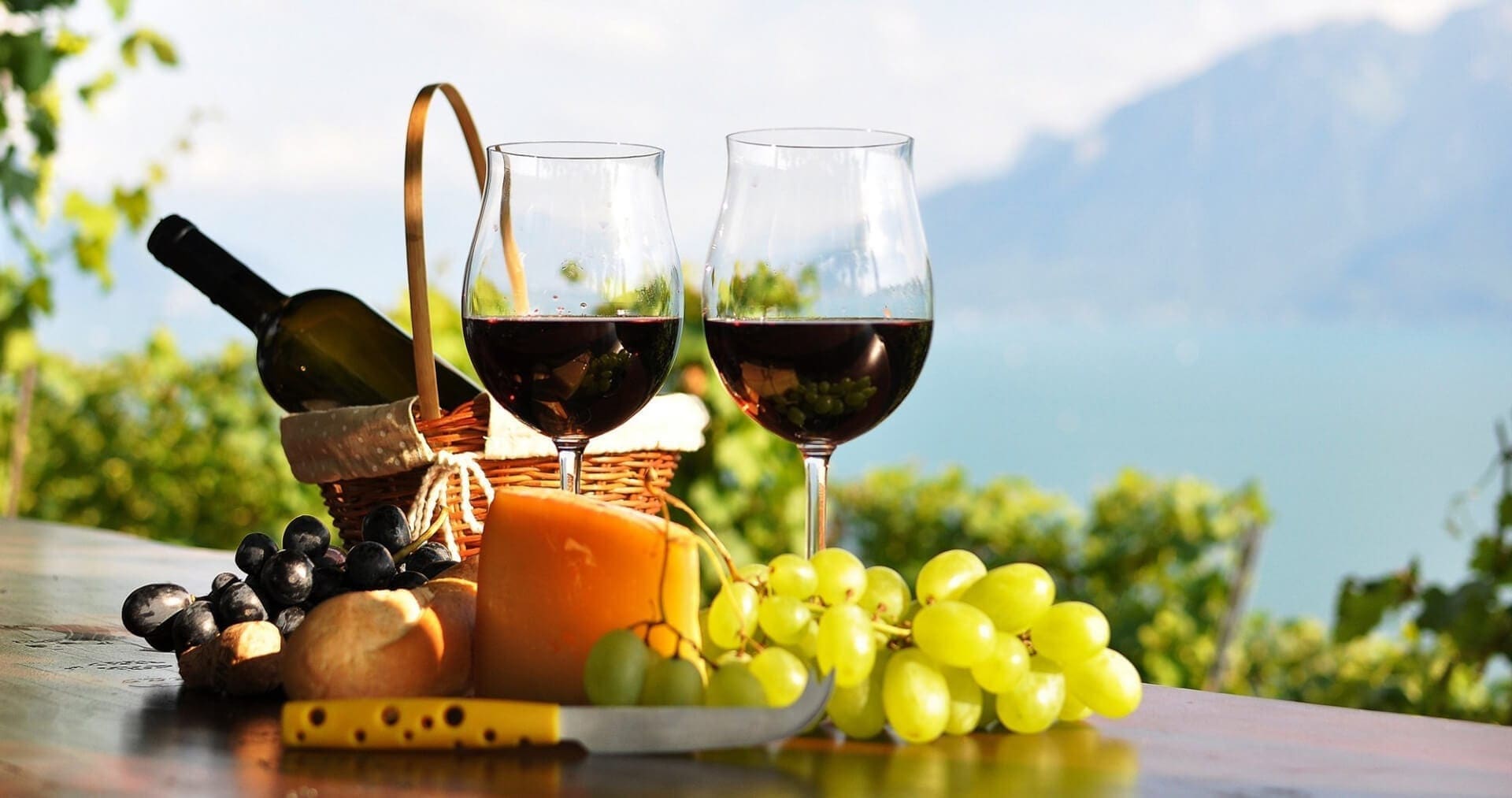 North Fork Winery Tours