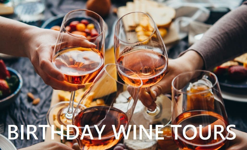 Birthday Wine Tours in Long Island provided by LI Vineyard Tours