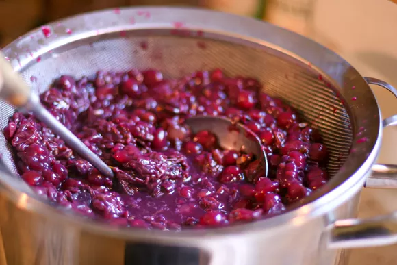 Grape Juice Smash into Wine - LI Vineyard Tours®