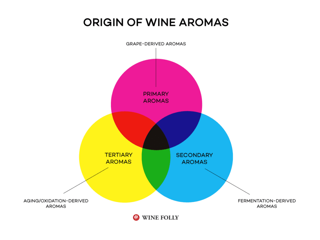 Origin of Wine Aromas - LI Vineyard Tours